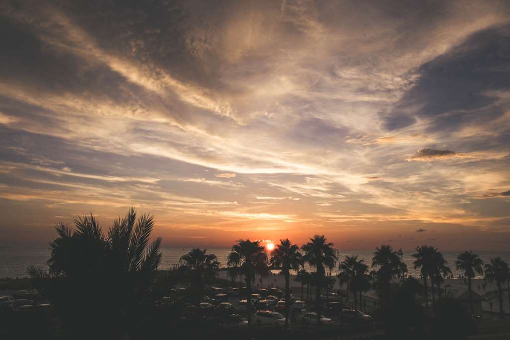 Magnuson Hotel Clearwater Beach Natur bilde